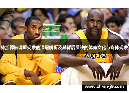 林加德被调侃现象的深层解析及其背后反映的体育文化与媒体现象 林加德被调侃现象的深层解析及其背后反映的体育文化与媒体现象