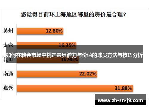 如何在转会市场中挑选最具潜力与价值的球员方法与技巧分析