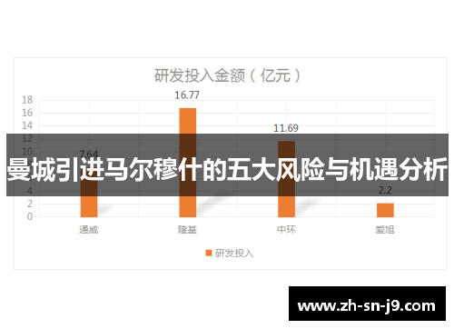 曼城引进马尔穆什的五大风险与机遇分析