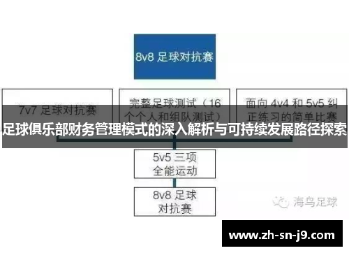 足球俱乐部财务管理模式的深入解析与可持续发展路径探索