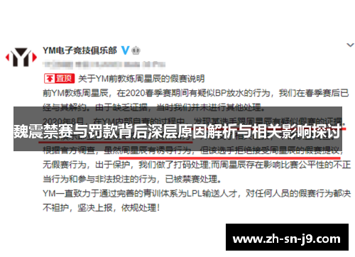 魏震禁赛与罚款背后深层原因解析与相关影响探讨